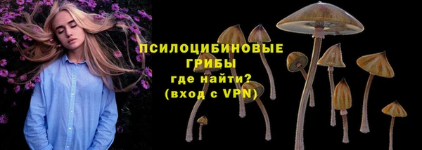 MESCALINE Алзамай
