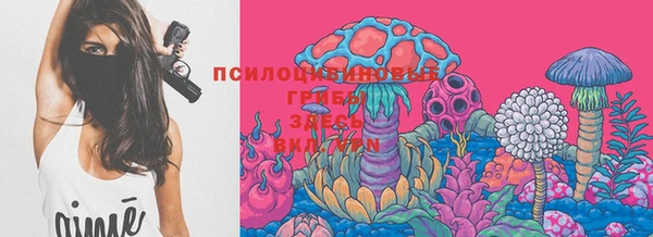 спиды Тында