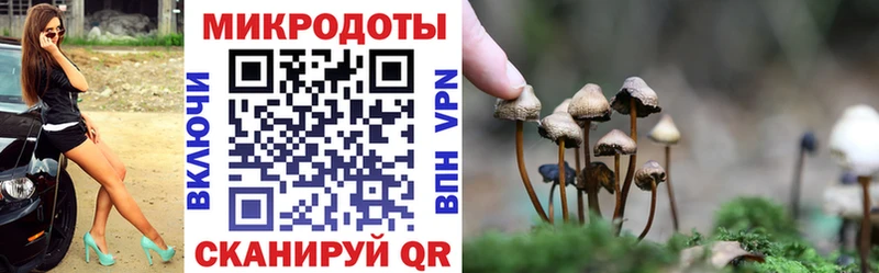 это официальный сайт Омск Галлюциногенные грибы MAGIC MUSHROOMS